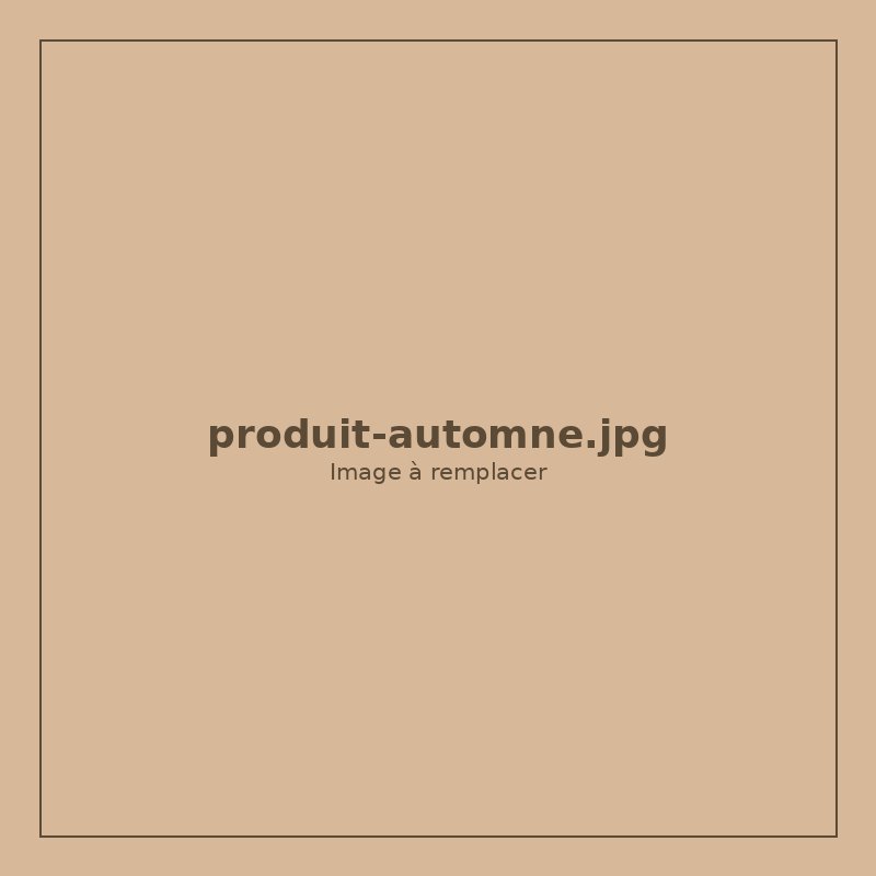 Box automne